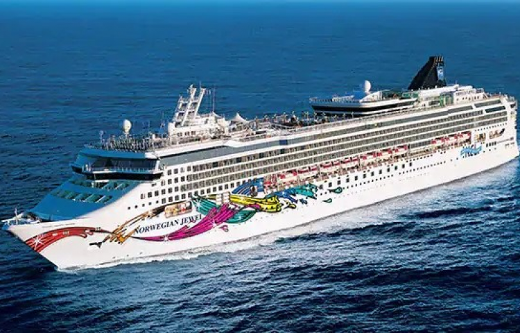 Man ‘deliberately jumped overboard’ after cruise ship left Napier