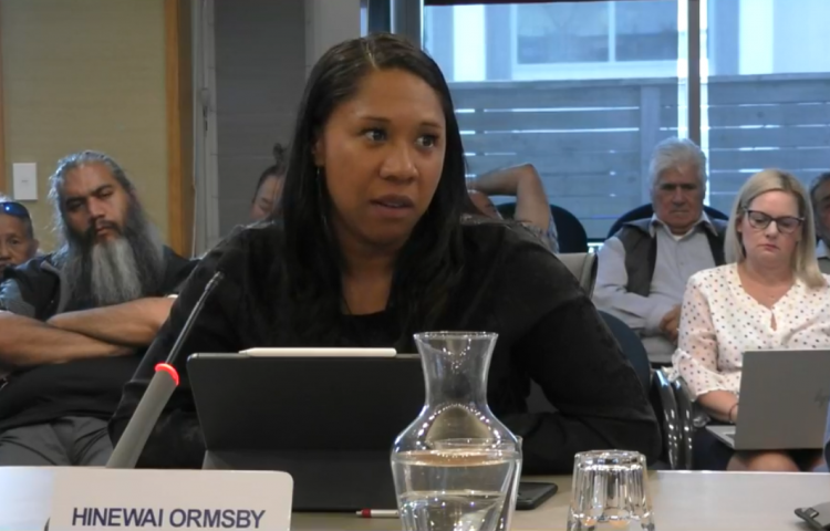 Māori Hawke’s Bay Regional Councillor speaks out: “I could not just fall in line”