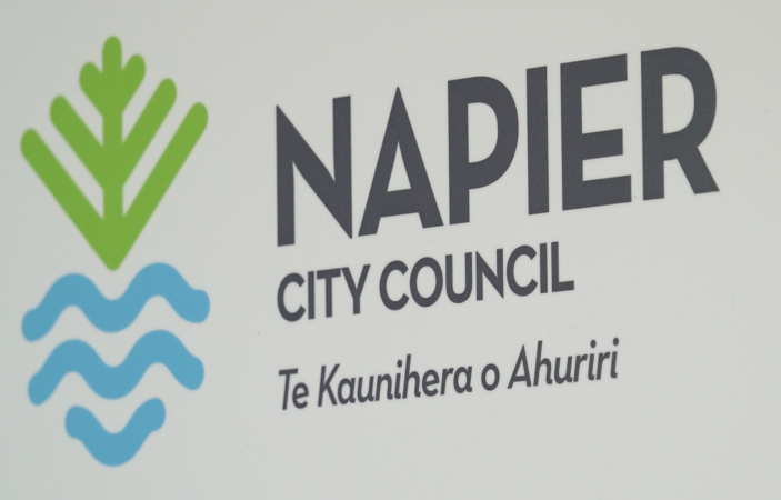 Napier City Council appoints two "key" people for new internal Directorate