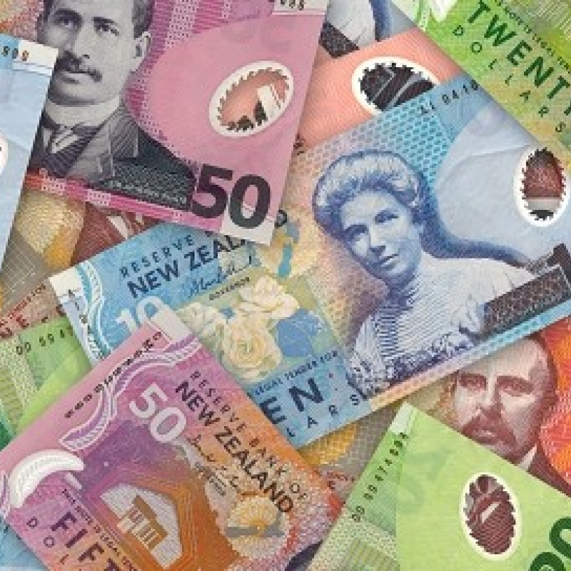 Napier City Council CEO’s spending cap raised despite Mayor’s concerns