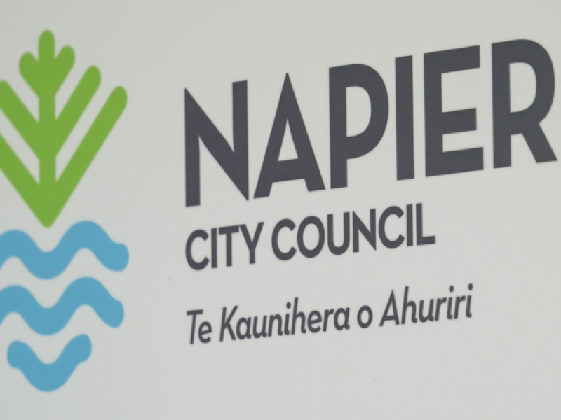 Napier City Council seeks community’s views on wards and number of councillors