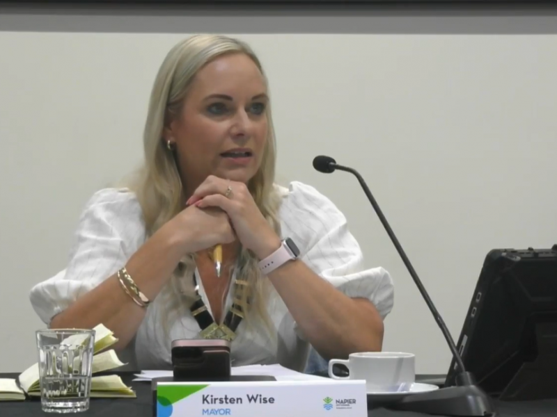 Napier City Councillors discuss proposed legislation on Māori wards