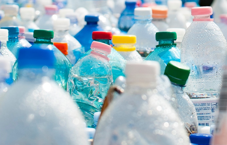 Napier follows Hastings in cutting back on plastic recycling