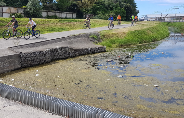 Napier stormwater submissions support increased environmental protection