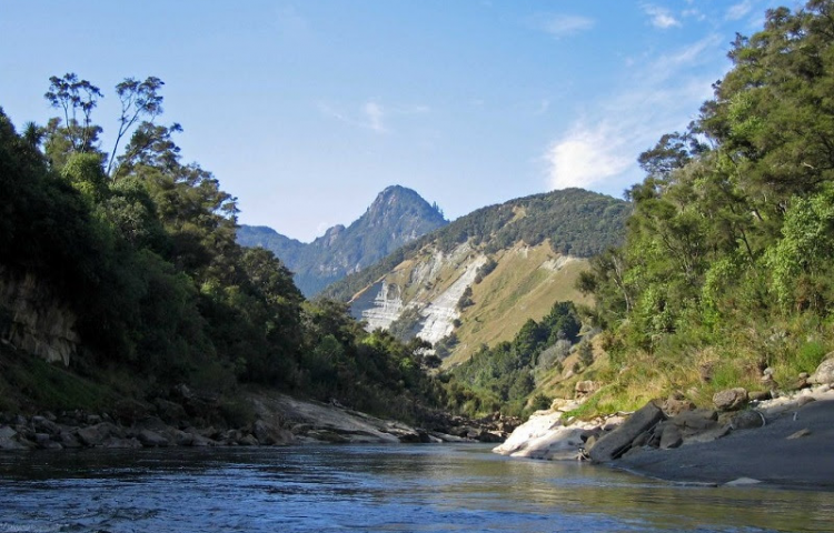 New data paints picture of impaired health for Hawke's Bay's rivers