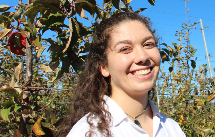 New gateway opens in the Bay to attract more young Kiwis to apple and pear industry