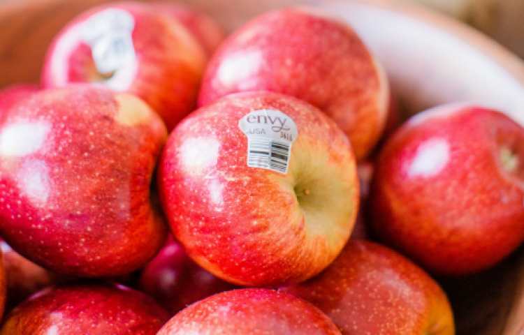 New growing techniques trialled in the Bay bear fruit