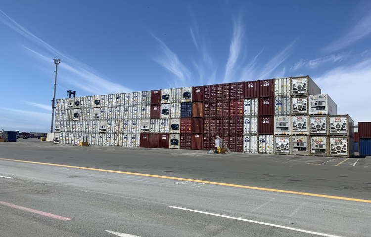 New shipping line brings direct Trans-Tasman service to Napier Port
