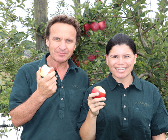 New Zealand’s Newest Apple Variety is Dazzling Chinese Consumers