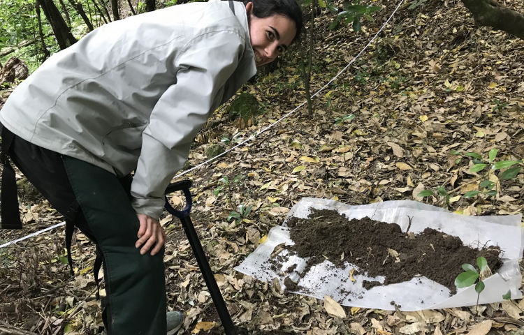 Ngaruroro River research project delivers multiple benefits