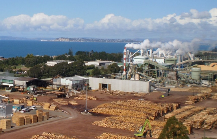 No prosecution of Pan Pac following outfall pipe leak