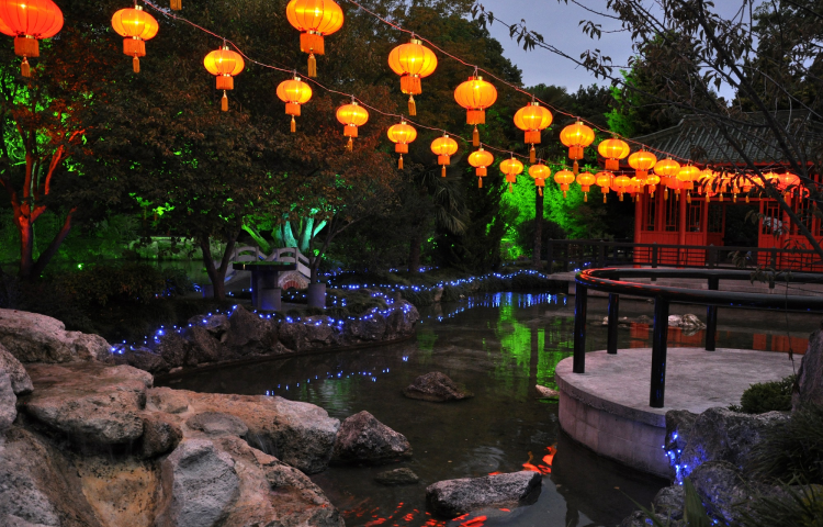 Osmanthus Gardens in Hastings set to come to light