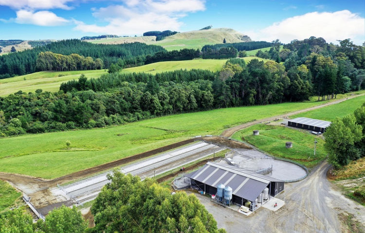 Patoka dairy farm on the market