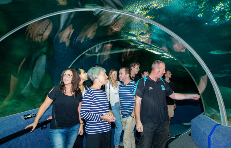 Poetry prowess celebrated at National Aquarium