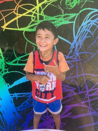 Police search for missing eight-year-old boy from Napier