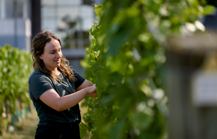 Positive industry feedback for EIT’s new Cellar Operations programme