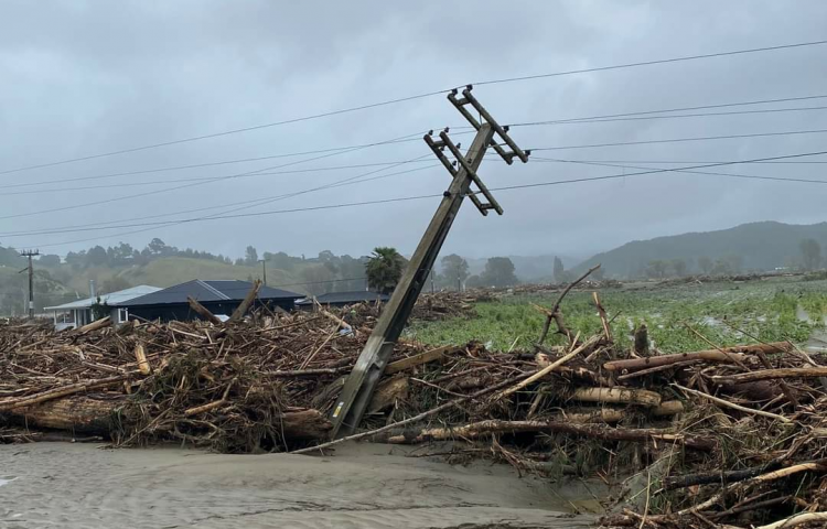 Power restored to thousands in Napier