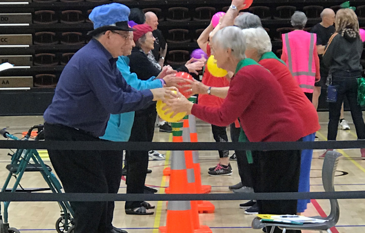 Preventing falls one game at a time