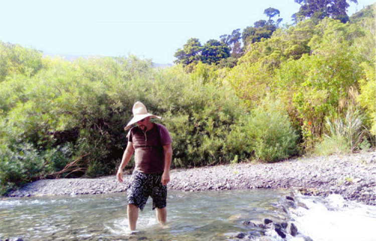 Quick to spot melanoma