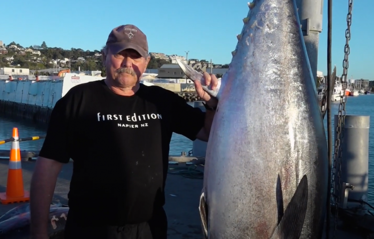 Record breaking 116.2Kg bluefin tuna caught in Hawke Bay.