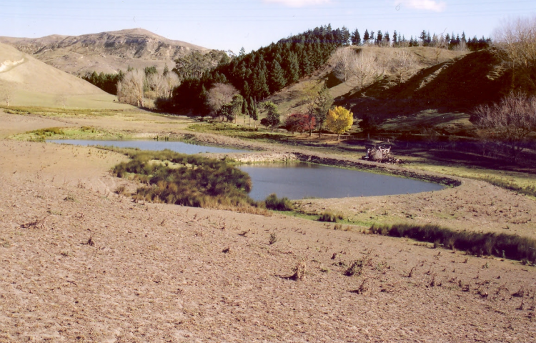 Regional Council to amend nitrogen leaching modelling tool