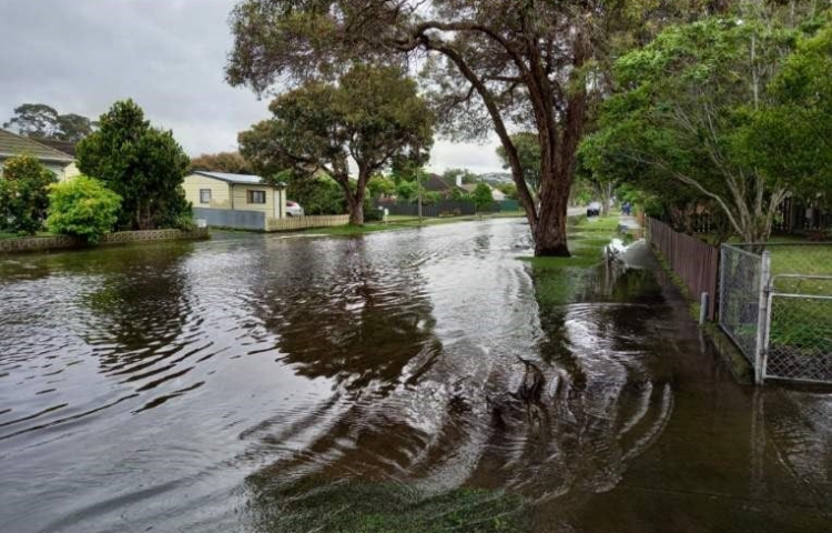 Reports find Napier flood event unavoidable, but confusion, duplication and delay hampered response