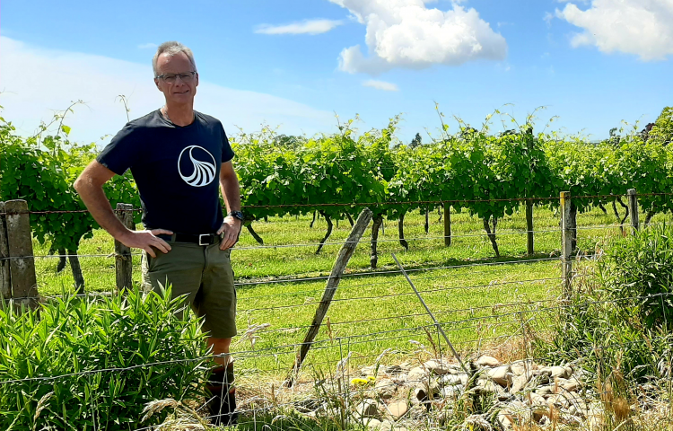 Rethinking the vineyard environment: Hawke’s Bay winegrower implements biodiversity