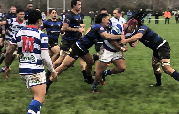 Rugby champs bounce back