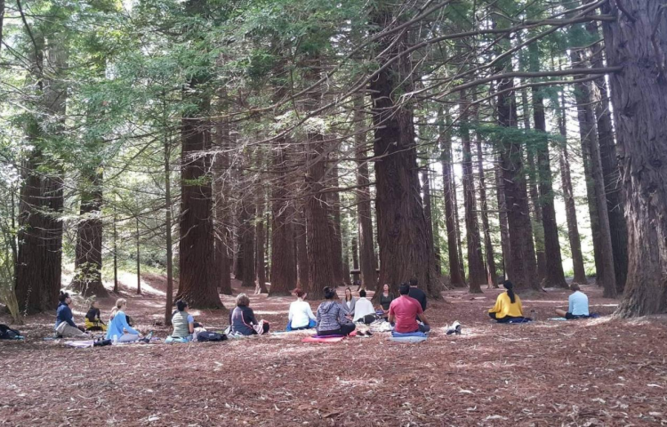 Self-care: Yoga goes mainstream as our understanding matures