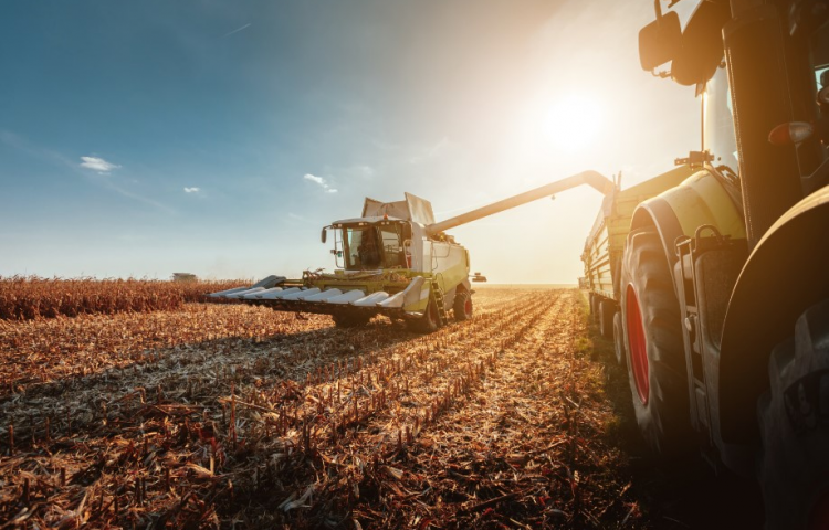 Seven Directors appointed to Food and Fibre CoVE Board