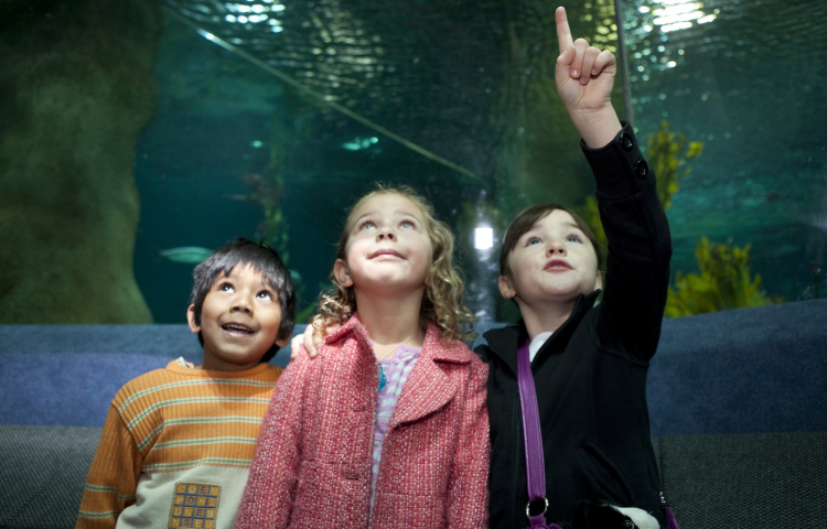 Special Children’s Day deals on offer in Napier this Sunday