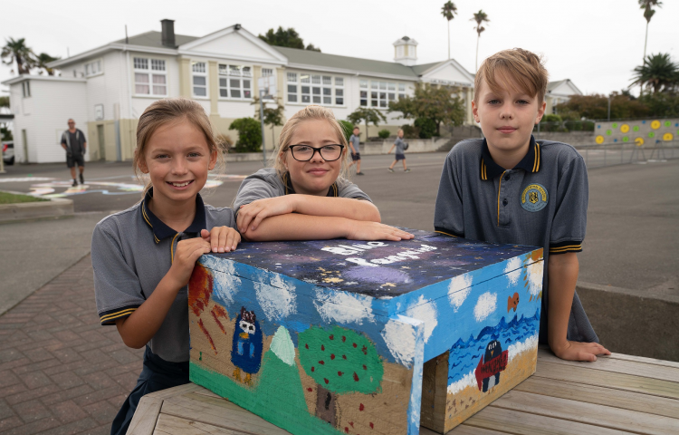 Students build nesting boxes for first on-port penguin sanctuary