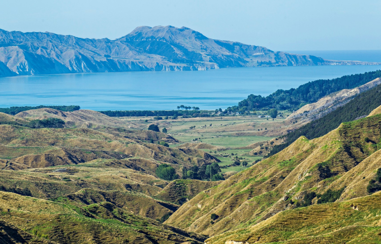 Substantial Opoutama farm up for sale