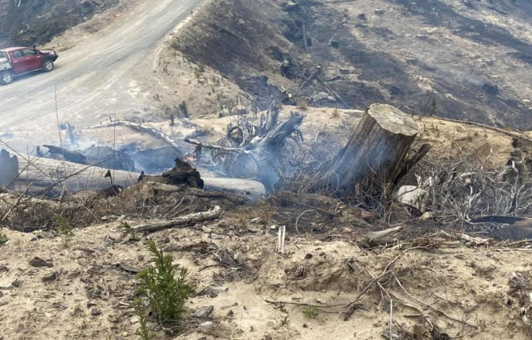 Tangoio fire under control but smoke expected to remain for days