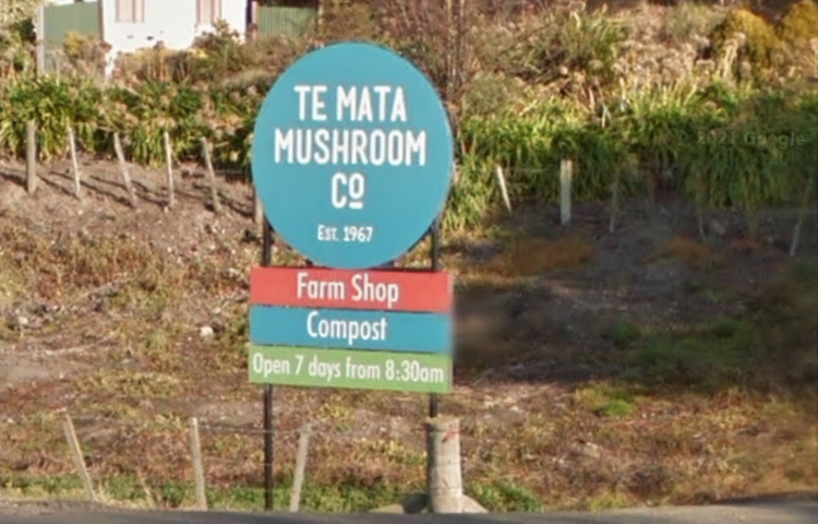 Te Mata Mushrooms move an "opportunity" for Central Hawke's Bay