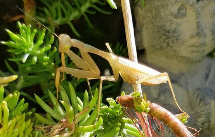 The balance of nature is in our hands