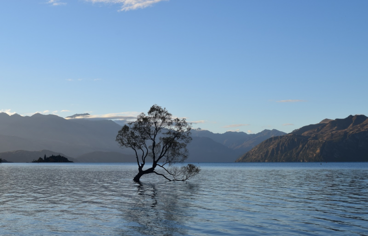 Travel: Exploring wonderful Wanaka