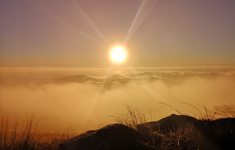 Travel: Hard work pays off in the Marlborough Sounds