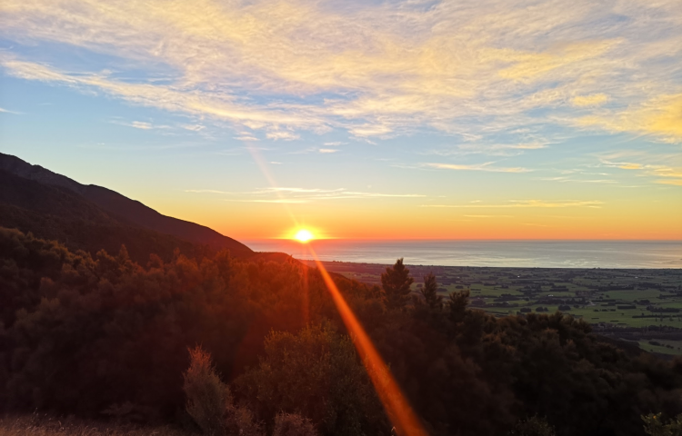 Travel: Kaikoura delivers a surprise around every corner