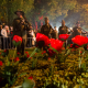 Video: Anzac Day services around Hawke's Bay