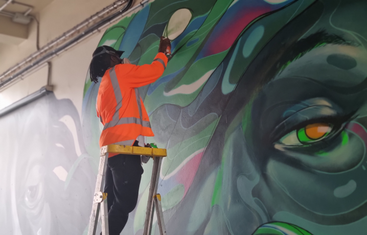 Video: Artists breathe life into Napier CBD laneway