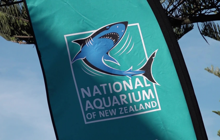VIDEO: Education takes centre stage at National Aquarium of New Zealand