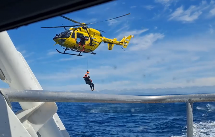 Video: Man winched to safety following injury off Napier coast