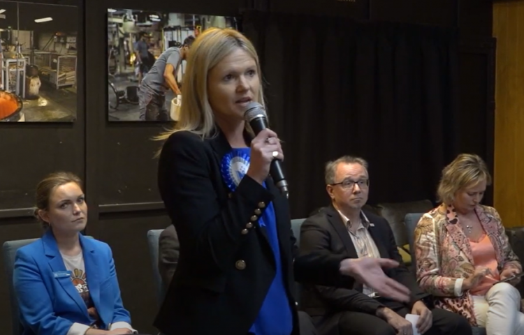 Video: Meet the Candidates meetings in full swing for Hawke's Bay candidates