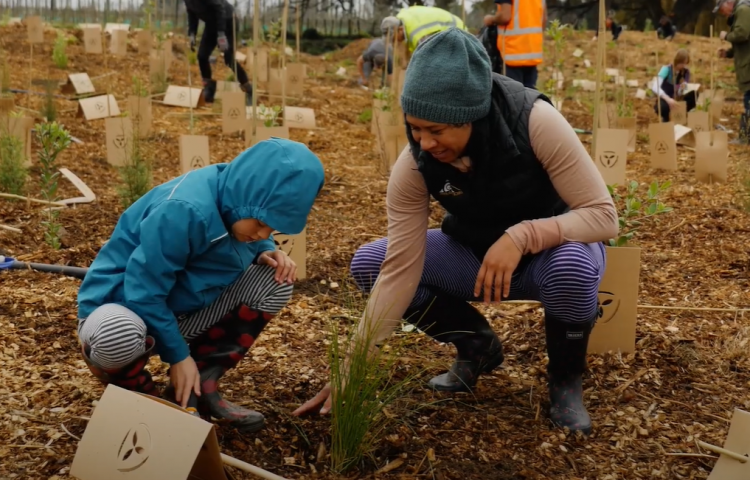 VIDEO: Public Planting day Attracts Crowds to Help Clean Up the Karamū Stream