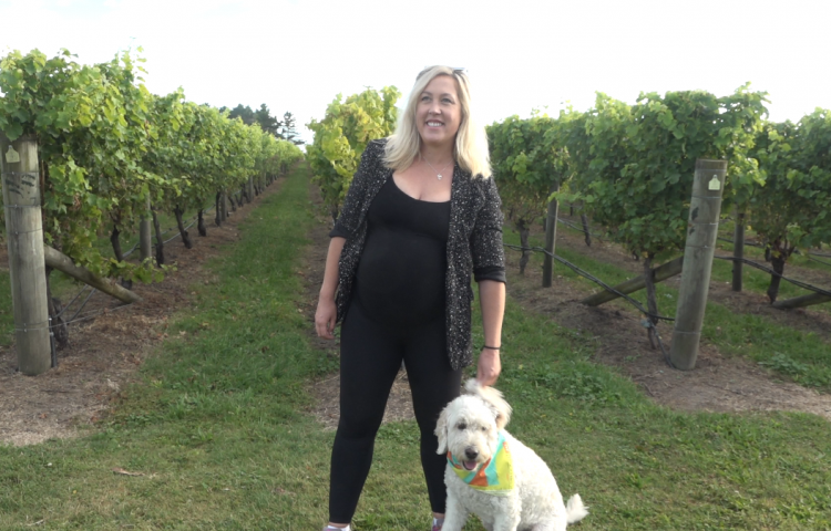 Video: Wine and dogs, a perfect pairing?