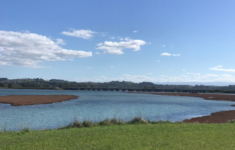 Warning for swimming around Napier