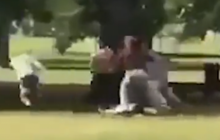 Watch: Gang fight at Napier’s Anderson Park