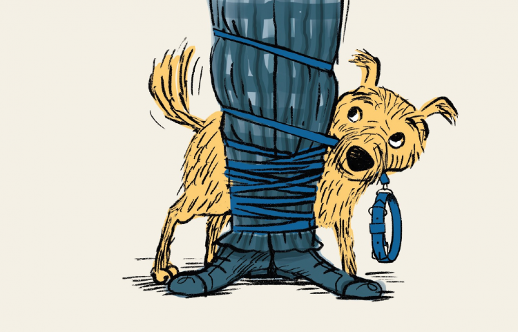 Watch: Wardini Books review of  ‘How to Walk a Dog’