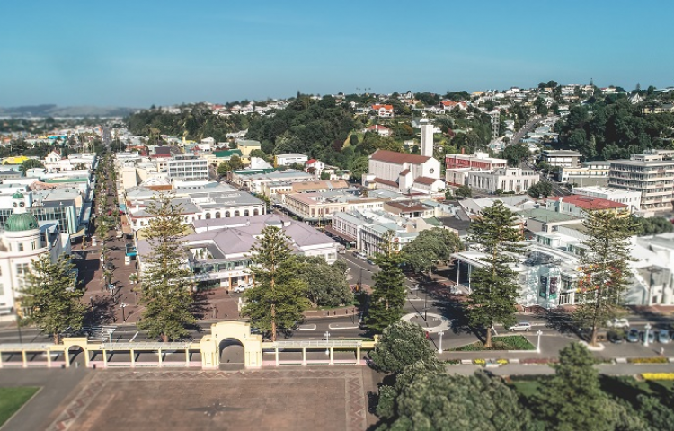 Wellbeing survey gauges how Napier feels about the pandemic